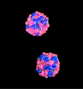 Cluster Earrings